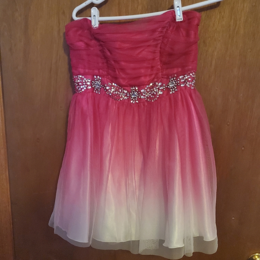 Pink Ombre Dress
